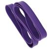 Alvinlite Exercise Workout Bands, 1m Strength Training Resistance Bands Pull Up Assistance Band for Upper Lower Body Exercise view 4