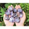 1 Pcs Chevron Amethyst Heart Stone: LARGE 1.75" (Banded Amethyst, Palm Stone) view 4