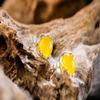 QYRKYP Ears925 Sterling Silver Jewelry Clear Yellow Chalcedony Fashion Personality Female Ear Stud Moire White Chalcedony Earrings/Yellow Chalcedony view 2