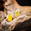 QYRKYP Ears925 Sterling Silver Jewelry Clear Yellow Chalcedony Fashion Personality Female Ear Stud Moire White Chalcedony Earrings/Yellow Chalcedony view 3