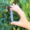 1 Pieces Natural Blue Kyanite Blade 0.75" - 1.25" (Raw Crystal Rough Blue Kyanite) view 4