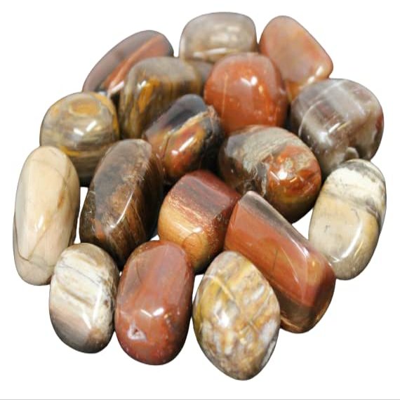 1/4 lb Lots Tumbled Stones: Type Petrified Wood (Wholesale Bulk, Crystal Healing, 4 oz)