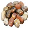 1/4 lb Lots Tumbled Stones: Type Petrified Wood (Wholesale Bulk, Crystal Healing, 4 oz) view 1
