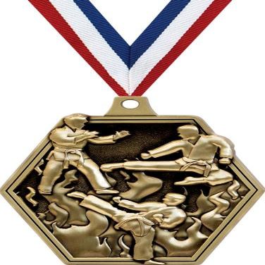 2.25" Martial Arts Medal Awards, Gold Masters Martial Arts Team Trophy Awards Includes Free Neck Ribbon 50 Pack