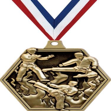 2.25" Martial Arts Medal Awards, Gold Masters Martial Arts Team Trophy Awards Includes Free Neck Ribbon 50 Pack