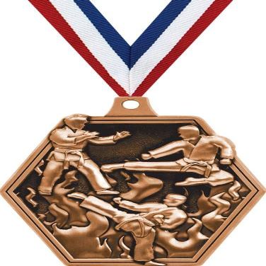 2.25" Martial Arts Medal Awards, Bronze Masters Martial Arts Team Trophy Awards Includes Free Neck Ribbon 50 Pack