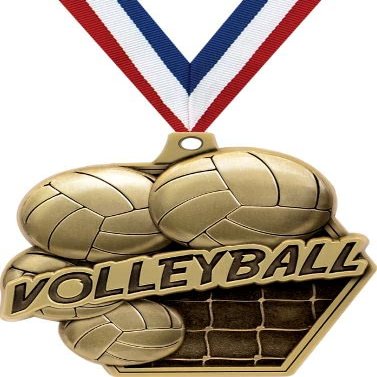 2.25" Volleyball Medal Awards, Gold Masters Volleyball Team Trophy Awards Includes Free Neck Ribbon 50 Pack