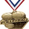 2.25" Volleyball Medal Awards, Gold Masters Volleyball Team Trophy Awards Includes Free Neck Ribbon 50 Pack view 1