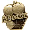 2.25" Volleyball Medal Awards, Gold Masters Volleyball Team Trophy Awards Includes Free Neck Ribbon 50 Pack view 2