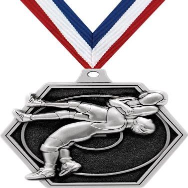 2.25" Wrestling Medal Awards, Silver Masters Wrestling Team Trophy Awards Includes Free Neck Ribbon 50 Pack
