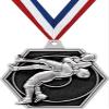 2.25" Wrestling Medal Awards, Silver Masters Wrestling Team Trophy Awards Includes Free Neck Ribbon 50 Pack view 1