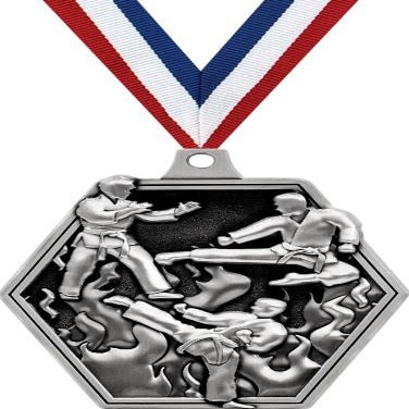 2.25" Martial Arts Medal Awards, Silver Masters Martial Arts Team Trophy Awards Includes Free Neck Ribbon 50 Pack