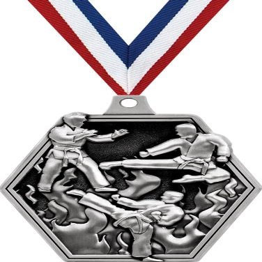 2.25" Martial Arts Medal Awards, Silver Masters Martial Arts Team Trophy Awards Includes Free Neck Ribbon 50 Pack