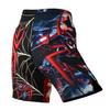 Roar Kids Mixed Martial Arts MMA Shorts BJJ Cross Training Gym Boxing Grappling Kickboxing Muay Thai Workout Shorts (Y-Medium, Spider) view 3