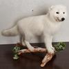 Arctic Fox Taxidermy Mount - White Fox, Snow Fox Mounted, Stuffed Animals for Sale - Real, Decor, LIFESIZE - AM7128