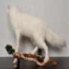 Arctic Fox Taxidermy Mount - White Fox, Snow Fox Mounted, Stuffed Animals for Sale - Real, Decor, LIFESIZE - AM7128 view 4