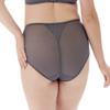 Berlei Women's Beauty Everyday Deep Brief, Grey (Dark Gray), XX-Large view 2