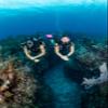 SCUBAPRO Go Front Adjustable Scuba Diving BCD, Quick Cinch, with Air2 Inflator Regulator for Travel Diving, L view 4