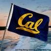 Cal Berkeley Golden Bears Small 2x3 Foot Flag view 4