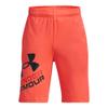 Under Armour Boys Prototype 2.0 Logo Shorts, (877) After Burn / / Black, Youth X-Small view 1