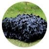 Black Camouflage Net,Large Camo Netting,Military Nets,Privacy Screen,Army Sunshade Mesh,for Decoration,Hunting,Party,Camping and Car Cover,with Mesh Net Behind (5x5m(16.4x16.4ft)) view 2
