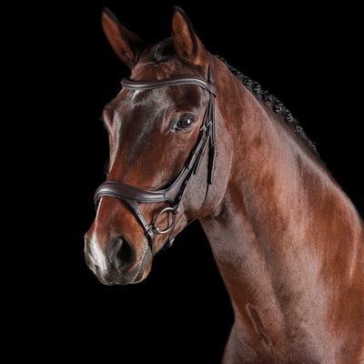Collegiate ComFiTec Vogue Anatomical Bridle, Brown, Full
