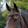 Collegiate ComFiTec Vogue Anatomical Bridle, Brown, Full view 3