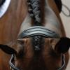 Collegiate ComFiTec Vogue Anatomical Bridle, Brown, Full view 4