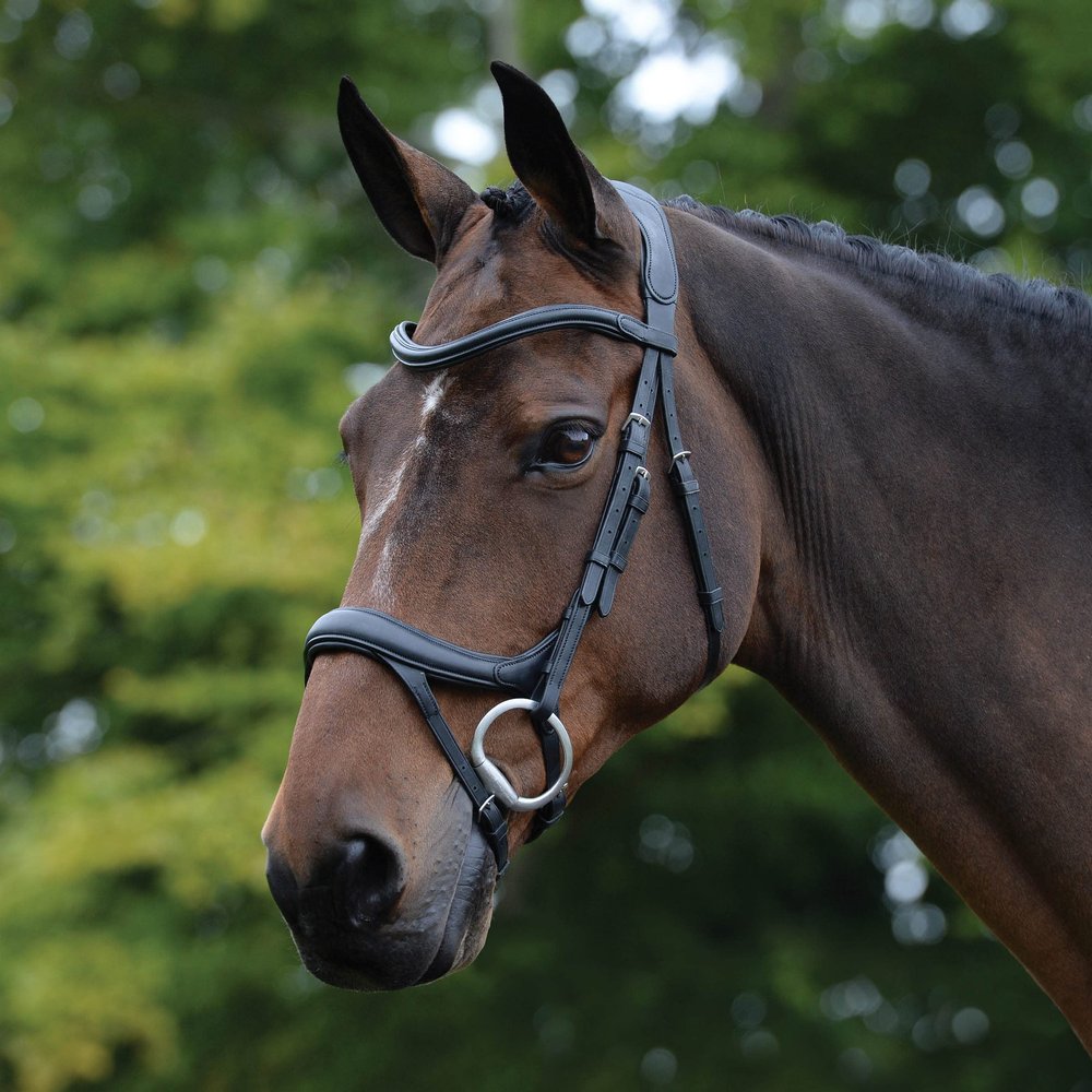 Collegiate ComFiTec Vogue Anatomical Bridle, Black, Full