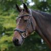 Collegiate ComFiTec Vogue Anatomical Bridle, Black, Full view 1