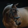 Collegiate ComFiTec Vogue Anatomical Bridle, Black, Full view 2