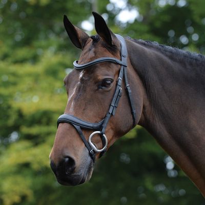 Collegiate ComFiTec Vogue Anatomical Bridle, Black, Cob