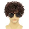 Amnenl Mens Afro Brown Short Wigs 70s 80s Rocker Curly Wig Kinky Synthetic Wigs for Cosplay Halloween Wig(Dark Brown) view 2