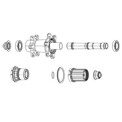 Zipp Spring and Pawl Set - ZM2
