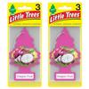 Little Trees U6P-60397: Dragon Fruit view 1