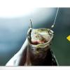 KUYWLMKMZZ Fishing Hooks 1 Pair 5 Hook Rope Hook Fishing Group Sea Fishing Pills World Rotating Anti-Winding Sea Pole Explosion Hook Squid and Squid Hook Throwing Stick Fishing Tackle (Size : 6#) view 3