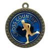 10 Pack of Cross Country Gold 2.25 Inch Medals Trophy Awards with Red White Blue Neck Ribbons D212G-EG20-10PK view 1