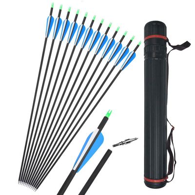 12 Pcs 30 Inch Archery Carbon Arrows 500 Spine Hunting Practice Target Carbon Arrows Shaft with 100 Grain Replaceable Tips for Archery Compound & Recurve & Traditional Bow (blue white arrow+quiver)