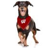 NCAA Wisconsin Badgers Tie Bandana, Large/x-Large. Dog Bandana Scarf Bib for Pet Cat Dog. The Ultimate Game-Day, Party Bandana view 4