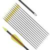 Archery Practice Fiberglass Arrows 24 Inch Target Shooting Safetyglass Recurve Bows Suitable for Youth Children Woman Beginner 12PCS view 1