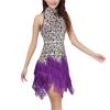 Women Latin Dance Dress Adult Shiny Sequin Fringe Tassel 1920s Flapper Sleeveless Halter Neck Salsa Tango Samba Cha Cha Rumba Ballroom Dancewear Stage Performance Costume Purple L view 3