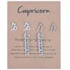 3 Pairs New Card Packaging Horoscope Zodiac Stud Earrings 12 Constellation Astrology 18K Gold Plated Little Ear Stud for Women Friendship Jewelry Gift -Capricorn view 1