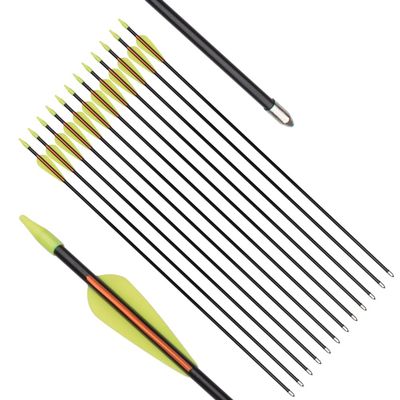 Archery Practice Fiberglass Arrows 30 Inch Target Shooting Safetyglass Recurve Bows Suitable for Youth Children Woman Beginner 6PCS