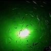 UWDESY 12V 20W IP68 Waterproof 180Led Green LED Underwater Fishing Finder Light,Night Fishing Light,Submersible Fishing Attracting Light in Deep Drop Water Ice Freshwater Saltwater view 3