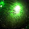 UWDESY 12V 20W IP68 Waterproof 180Led Green LED Underwater Fishing Finder Light,Night Fishing Light,Submersible Fishing Attracting Light in Deep Drop Water Ice Freshwater Saltwater view 4