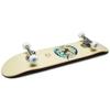 [CCS] Globe Skateboard Complete Cream 7.75" view 3