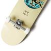 [CCS] Globe Skateboard Complete Cream 8.50" view 4