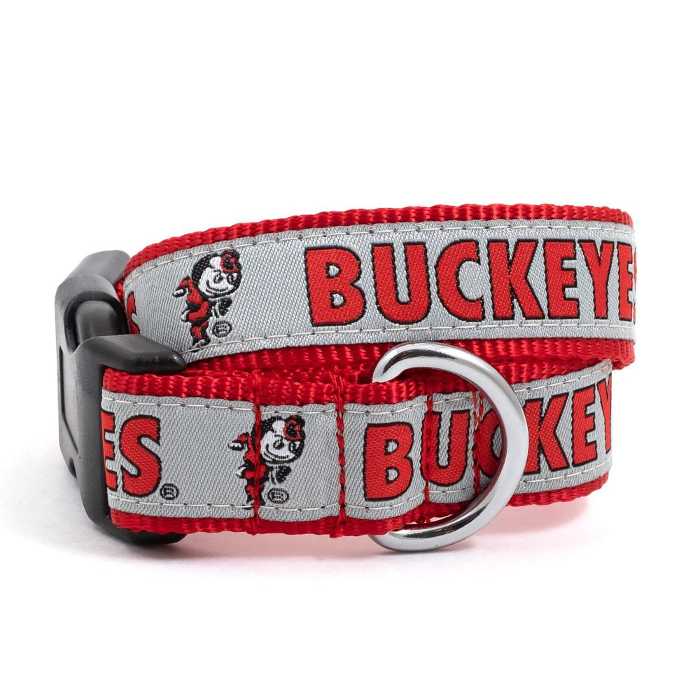 THE WORTHY DOG Ohio State Brutus Buckeye Dog Collar  Durable Nylon with Woven Ribbon & Quick-Release Buckle, Red/Grey, Small