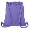 Broad Bay East Carolina University Drawstring Backpack ECU Cinch Bag RICH CANVAS (Purple) view 2