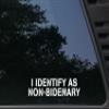I Identify as Non-Bidenary - 8" x 1 3/4"" die Cut Vinyl Decal/Sticker for Windows, Cars, Trucks, Boats, laptops - virtually Any Hard, Smooth Surface. Made & Ships from The USA! view 1